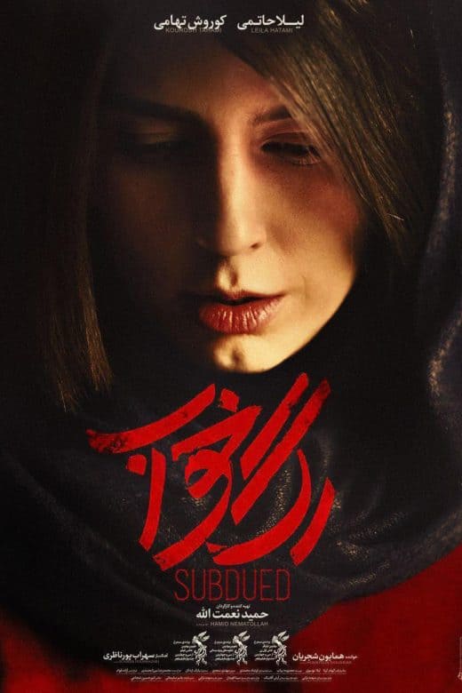 پوستر فیلم رگ خواب